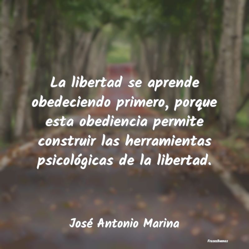 La libertad se aprende obedeciendo primero, porque...