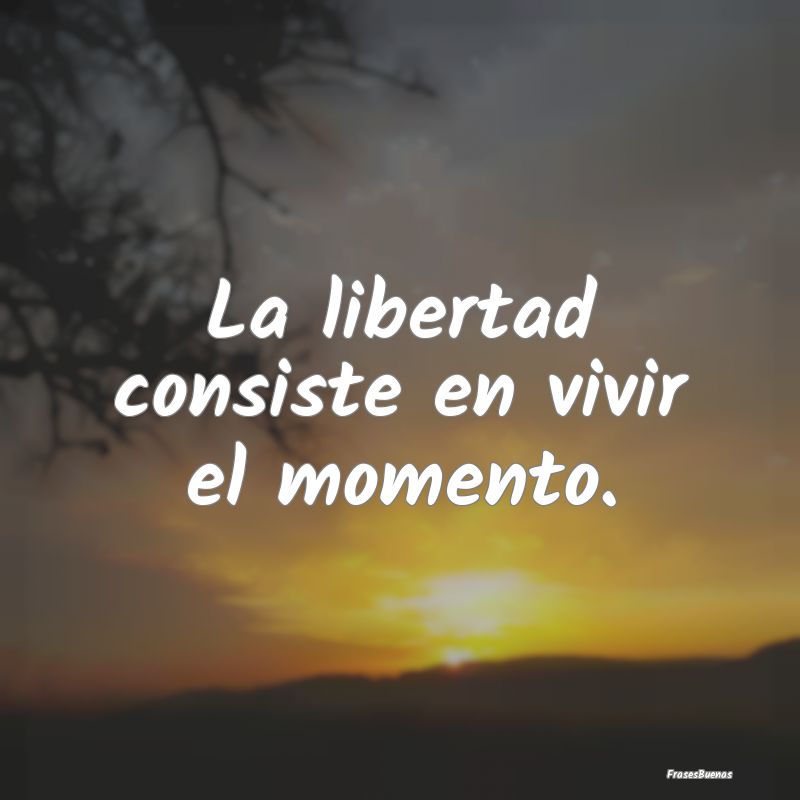 La libertad consiste en vivir el momento.
...