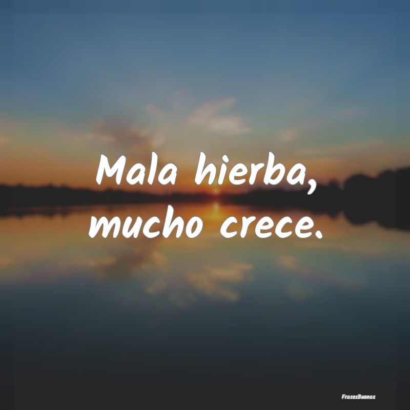 Mala hierba, mucho crece....