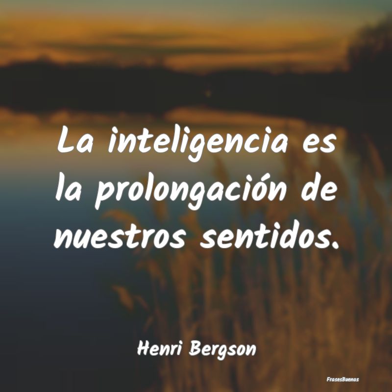 La inteligencia es la prolongación de nuestros se...